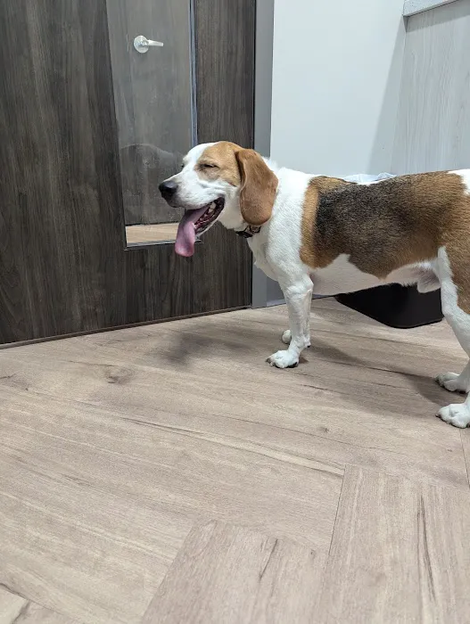 Ellis Crossing Animal Hospital 2