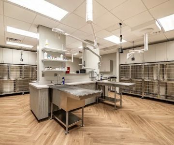 Ellis Crossing Animal Hospital