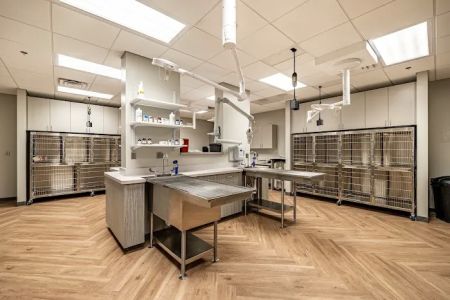 Ellis Crossing Animal Hospital