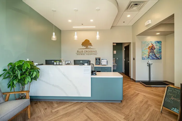 Ellis Crossing Animal Hospital 4