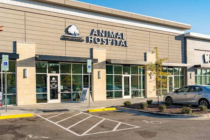 Ellis Crossing Animal Hospital 8