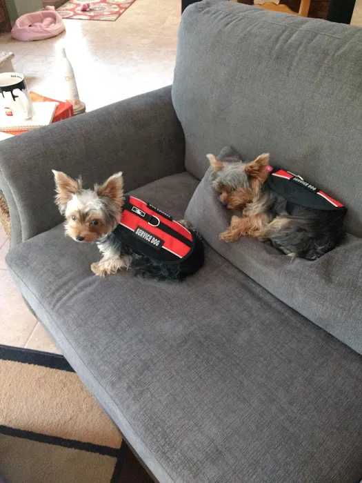 Kildaire Animal Medical Center 7