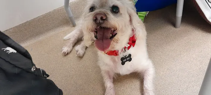 Kildaire Animal Medical Center 2