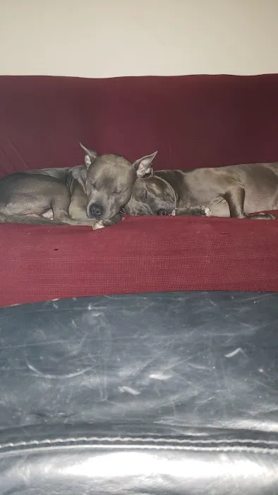 Kildaire Animal Medical Center 5