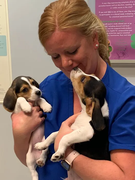 Mayfair Animal Hospital 2