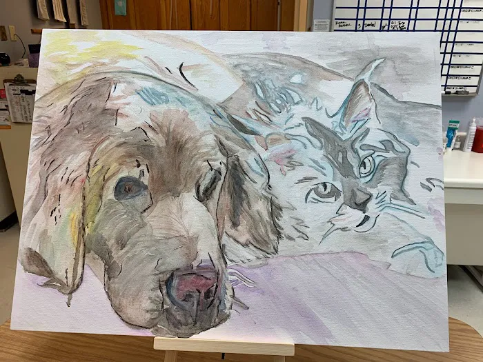 Mayfair Animal Hospital 5