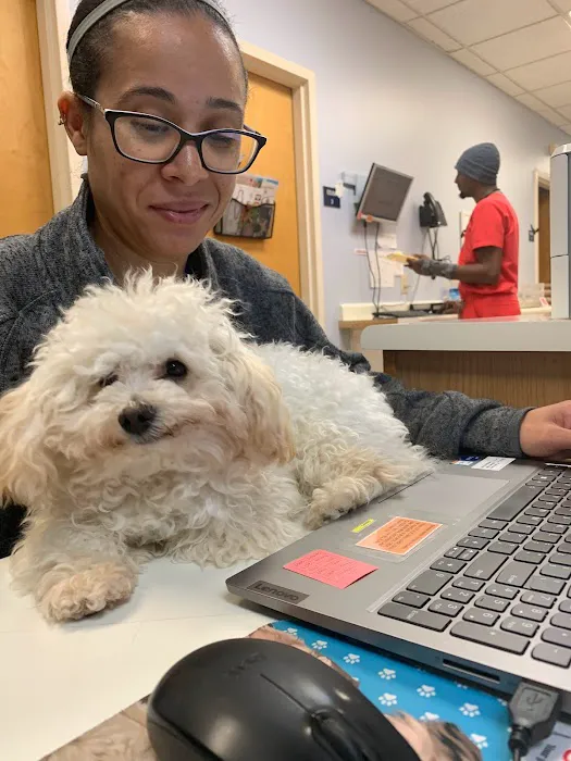 Mayfair Animal Hospital 7
