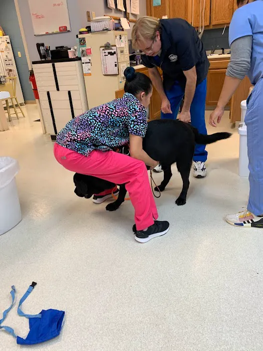 Mayfair Animal Hospital 10