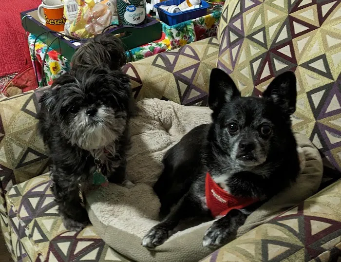 Banfield Pet Hospital 7