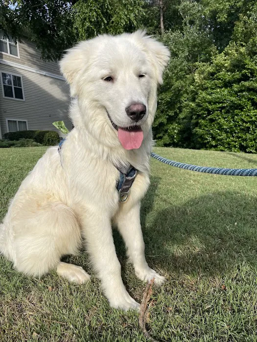 Maynard Animal Hospital- Cary 9