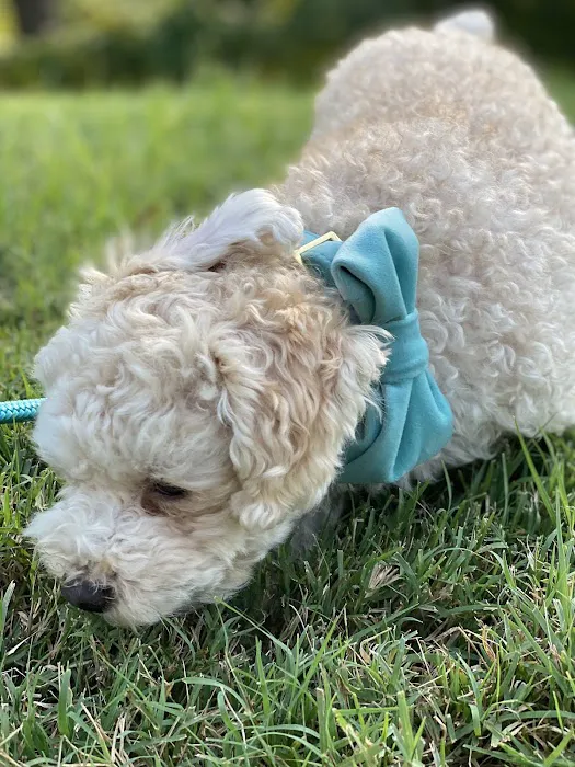 Maynard Animal Hospital- Cary 3