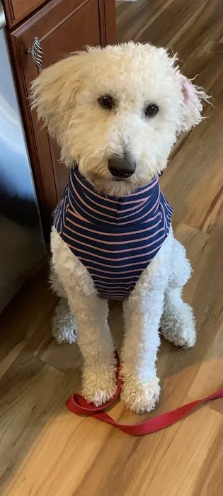 Maynard Animal Hospital- Cary 1