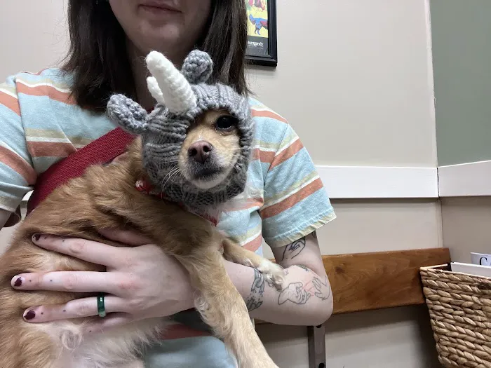 Preston Animal Hospital 8