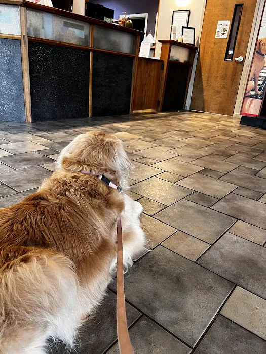 Preston Animal Hospital 1