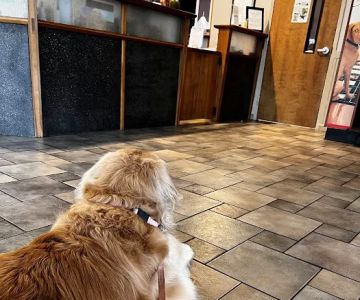 Preston Animal Hospital