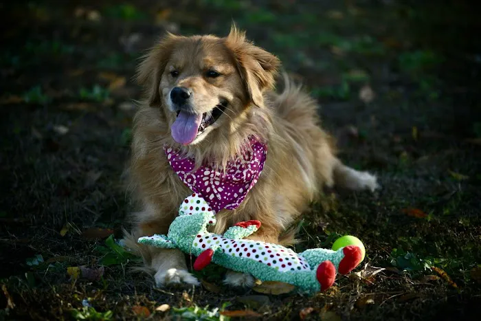 Hilltop Animal Hospital 3
