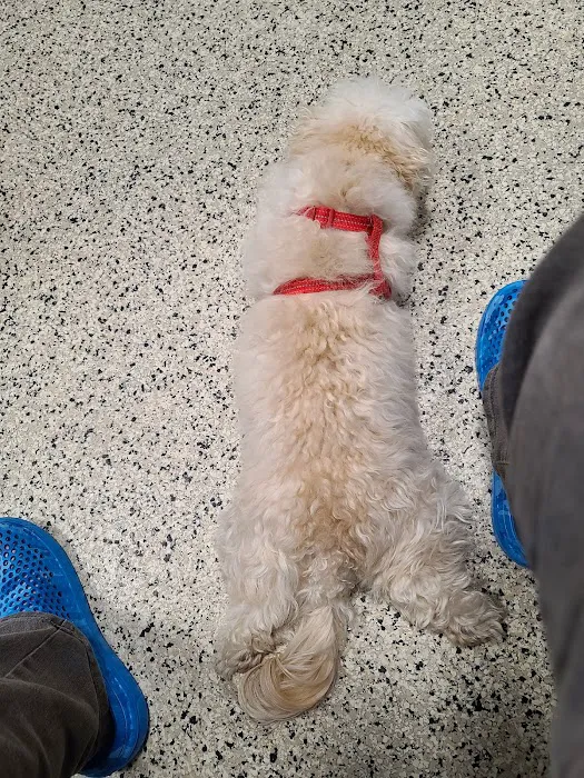Swift Creek Animal Hospital 7
