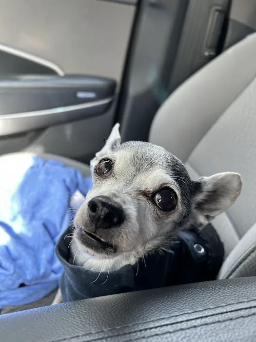 BluePearl Pet Hospital 3