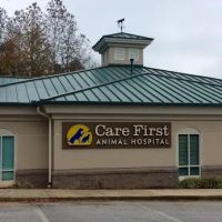 Care First ico