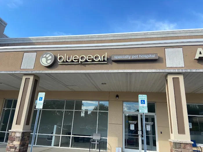 BluePearl Specialty Pet Hospital 1
