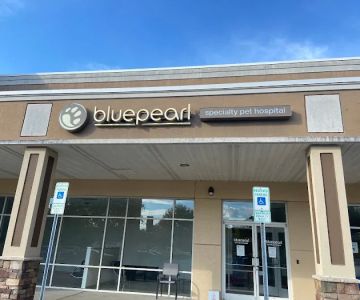BluePearl Specialty Pet Hospital