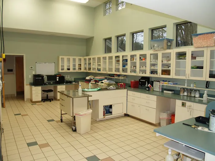 Noah's Ark Veterinary Hospital 1