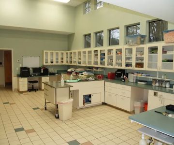 Noah's Ark Veterinary Hospital