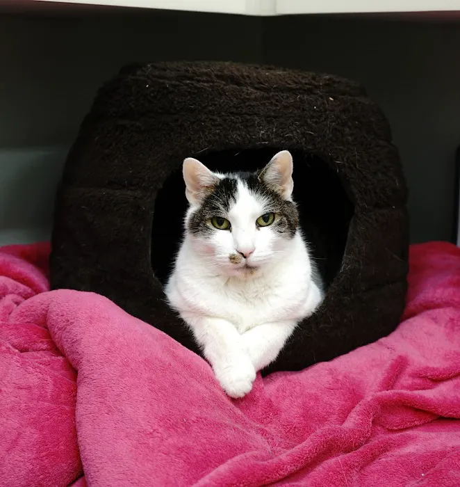Noah's Ark Veterinary Hospital 7