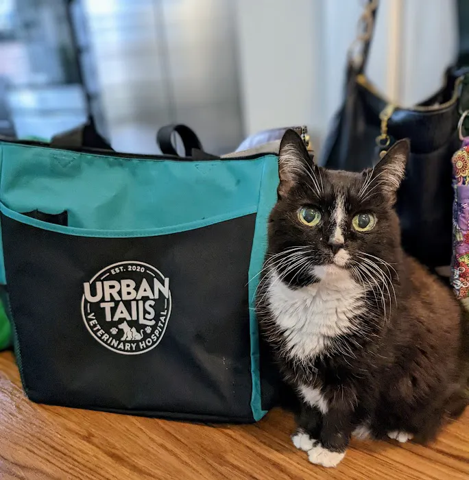 Urban Tails Veterinary Hospital 12