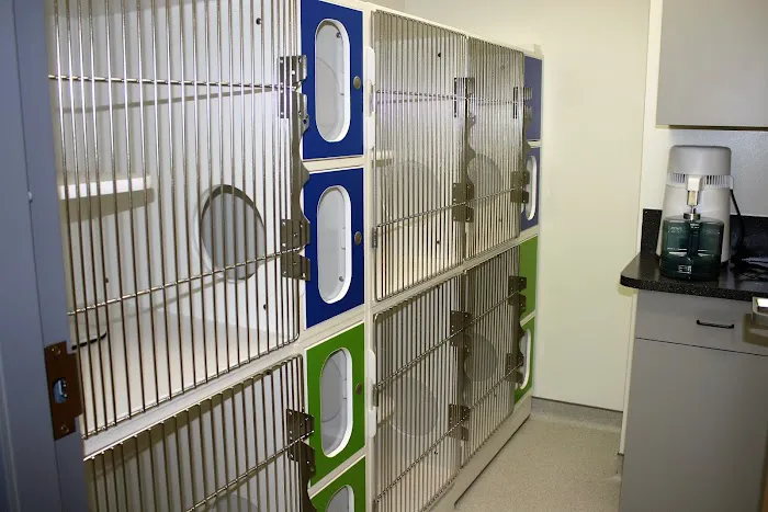 Walnut Street Animal Hospital 2