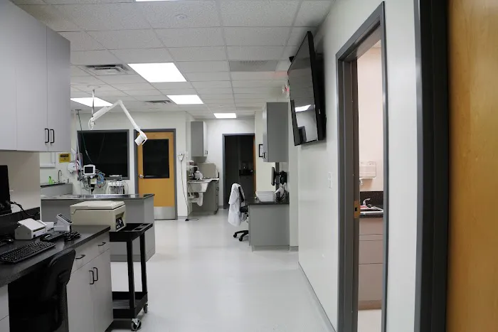 Walnut Street Animal Hospital 1