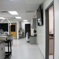 Walnut Street Animal Hospital ico