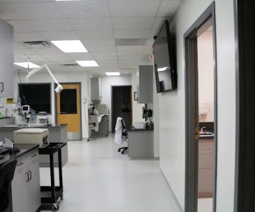 Walnut Street Animal Hospital