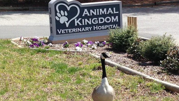 Animal Kingdom Veterinary Hospital 7