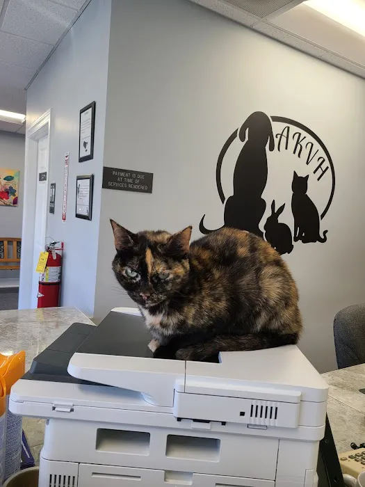 Animal Kingdom Veterinary Hospital 8