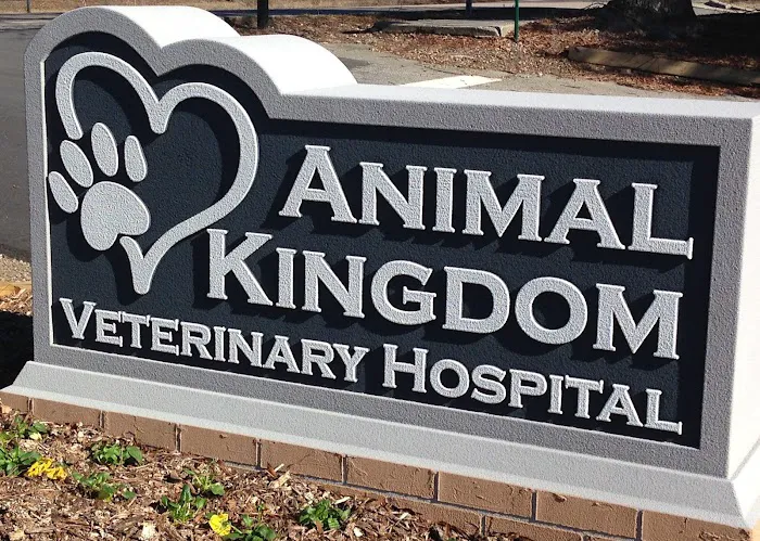 Animal Kingdom Veterinary Hospital 6