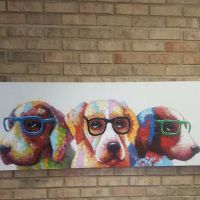 Northwoods Animal Hospital ico