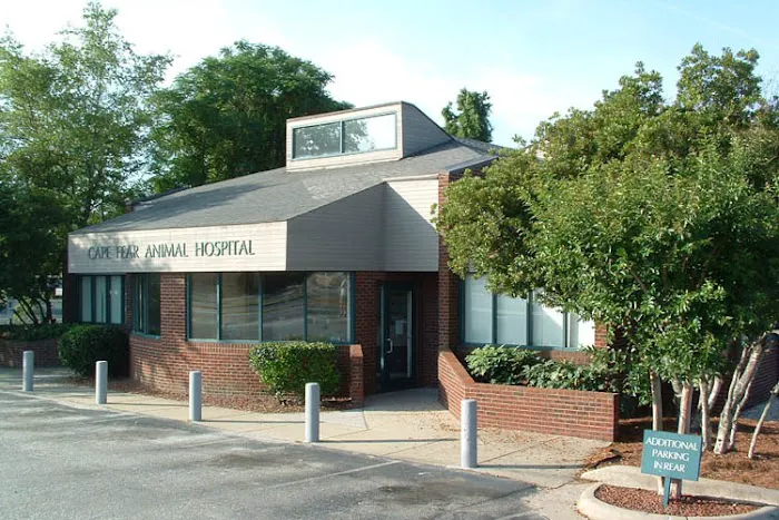 Cape Fear Animal Hospital 12