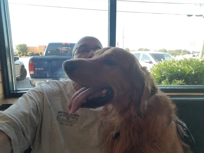 Cape Fear Animal Hospital 12