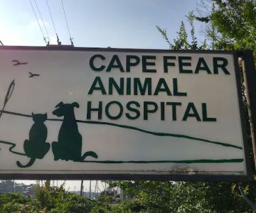 Cape Fear Animal Hospital