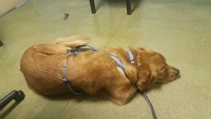 Cape Fear Animal Hospital 12