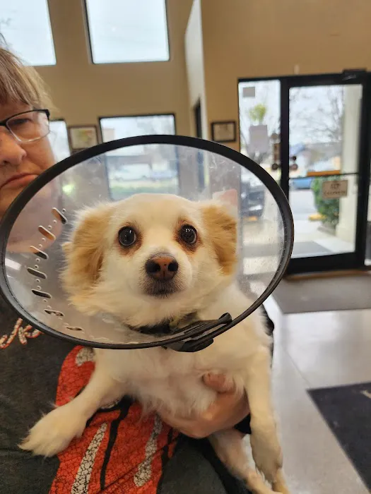 Animal Hospital of Fayetteville 12