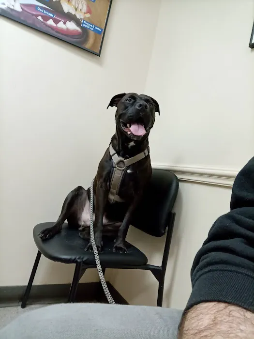 Animal Hospital of Fayetteville 12