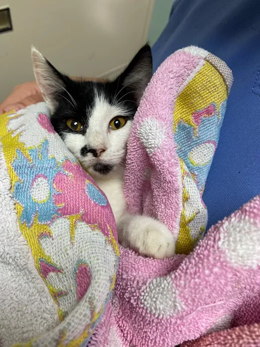 Spay/Neuter Veterinary Clinic of the Sandhills 12