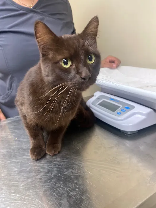Spay/Neuter Veterinary Clinic of the Sandhills 12