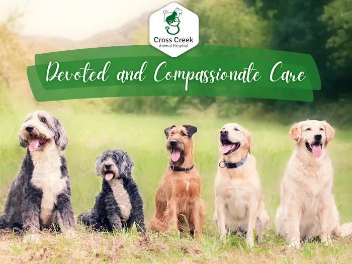 Cross Creek Animal Hospital 12