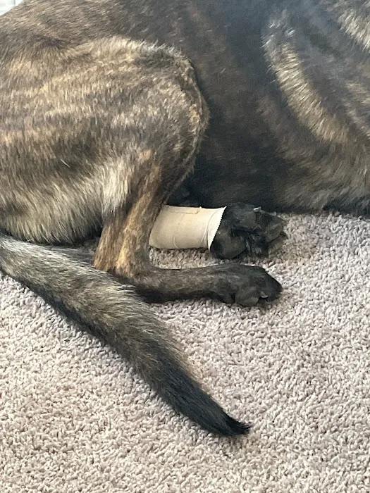 Cross Creek Animal Hospital 12