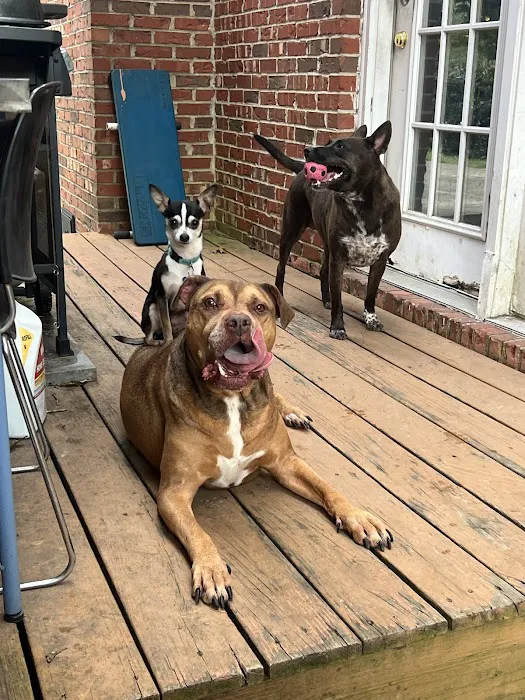 Cross Creek Animal Hospital 12