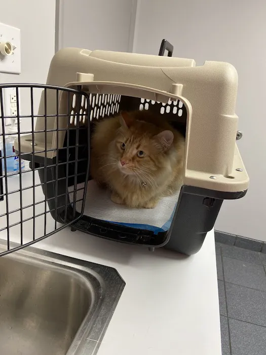 Riverbark Veterinary Hospital 12