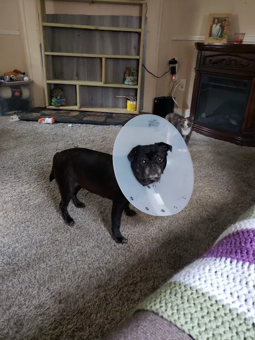 Riverside Animal Hospital 12